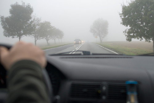 スペインで霧の日に車を運転する人。