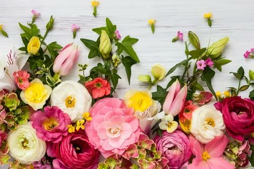 スペインの白い背景に色とりどりの花が並んでいます。