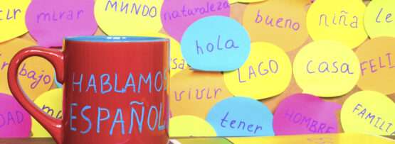 ノートの横にある「habla español」という単語が描かれたマグカップで、スペインでのtúとustedの使い分けを強調しています。