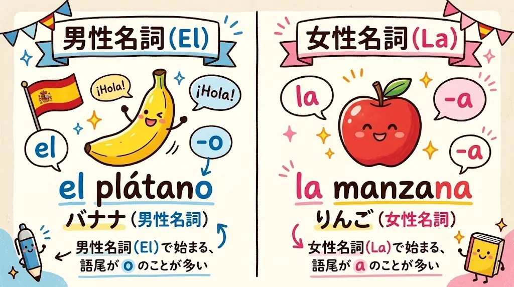 男性名詞と女性名詞の違いを示すイラスト