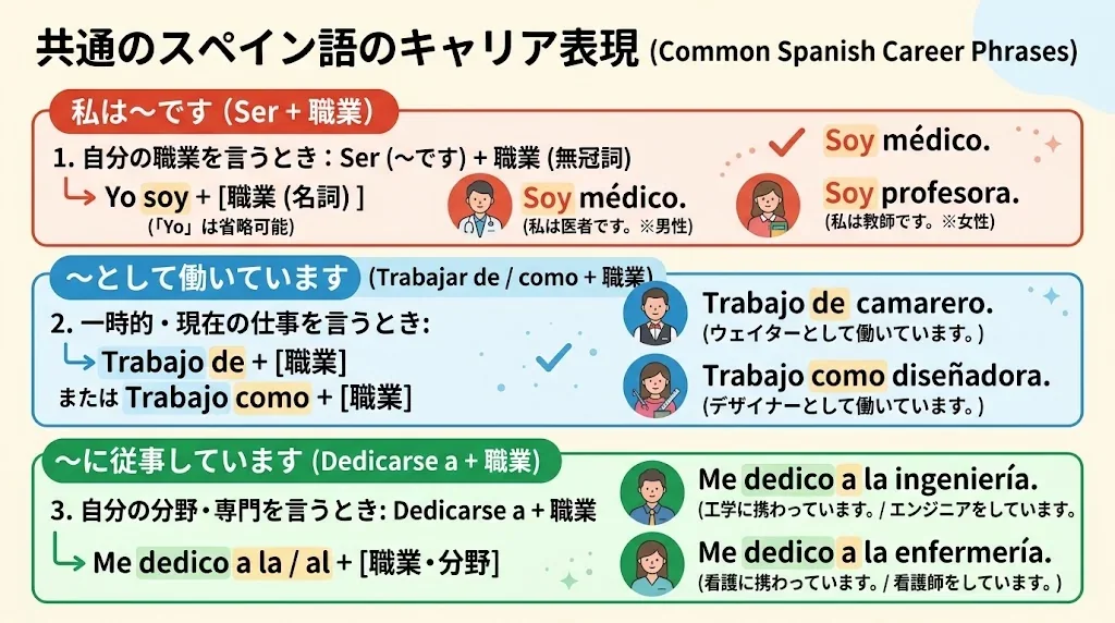スペイン語のキャリアフレーズの構造を示したインフォグラフィック