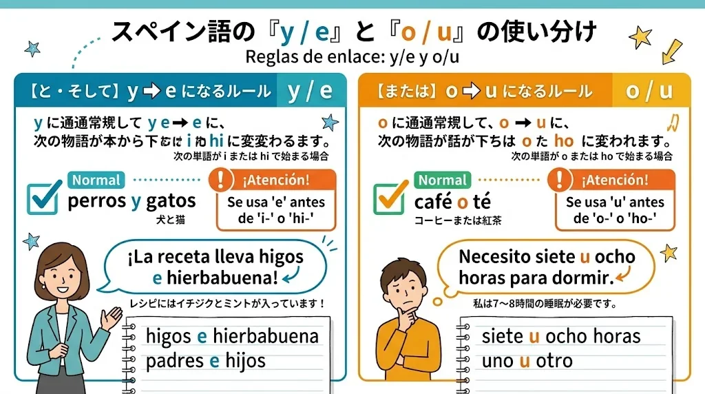 使用ルールを色分けした教育インフォグラフィック