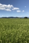 小山の2365先生
