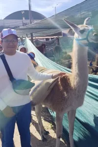 Diego Alberto  Herrera Ollachica  先生