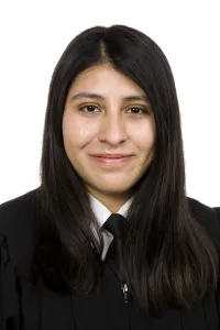 Holguin Tirado Amelia Leticia  先生
